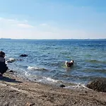 Seaside Oasis In Skovmose-by Traum Σπίτι διακοπών
