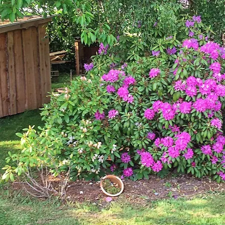 Seaside Oasis In Skovmose-by Traum