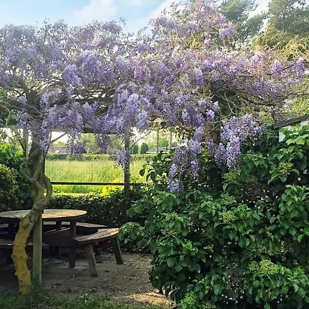 Seaside Oasis In Skovmose-by Traum